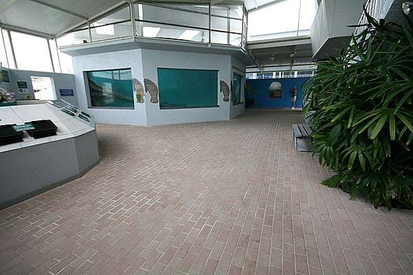 Paver flooring at Mote Marine’s Anna Maria outreach center